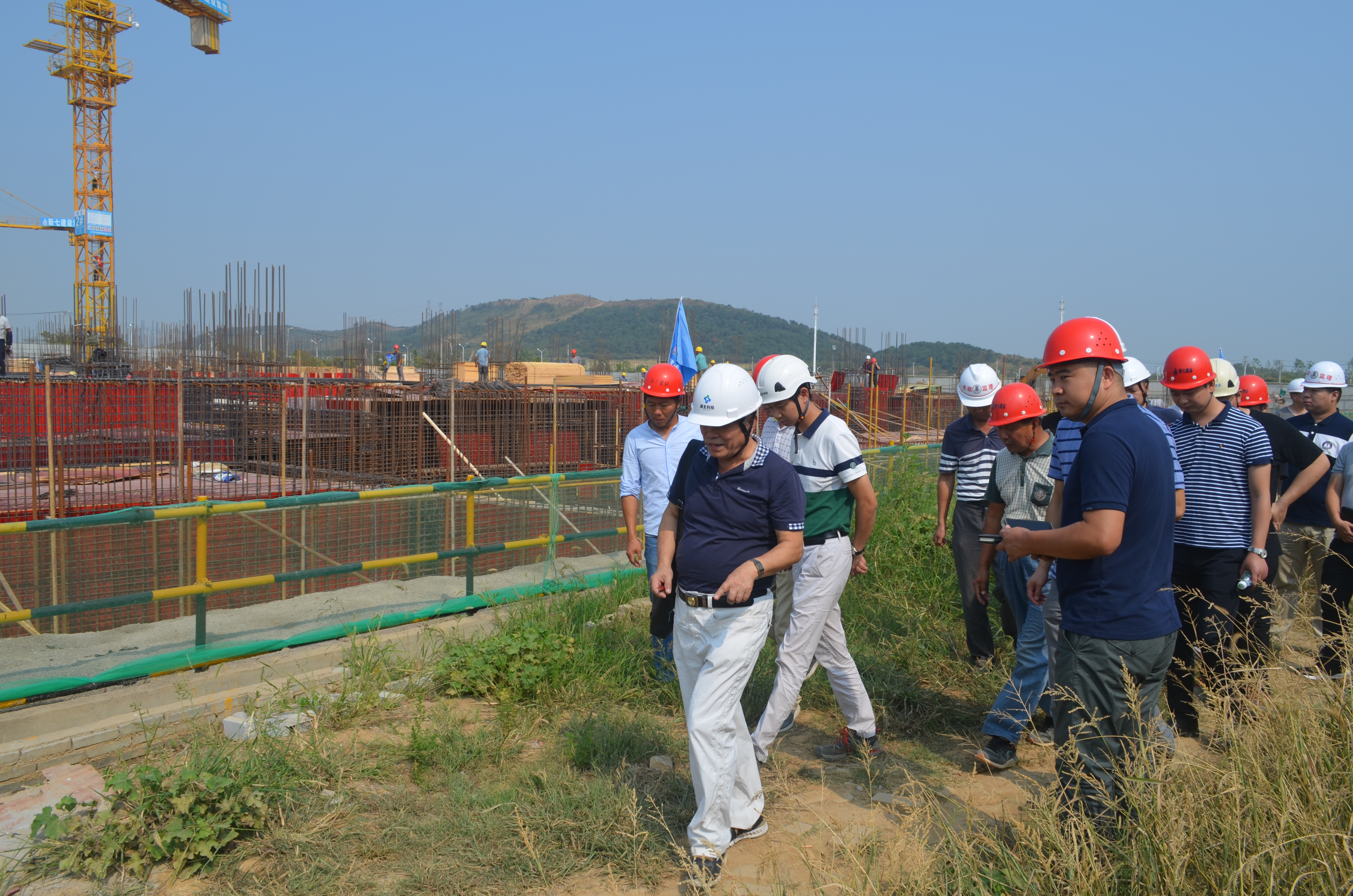 DSC_2310.JPG DSC_2310.JPG