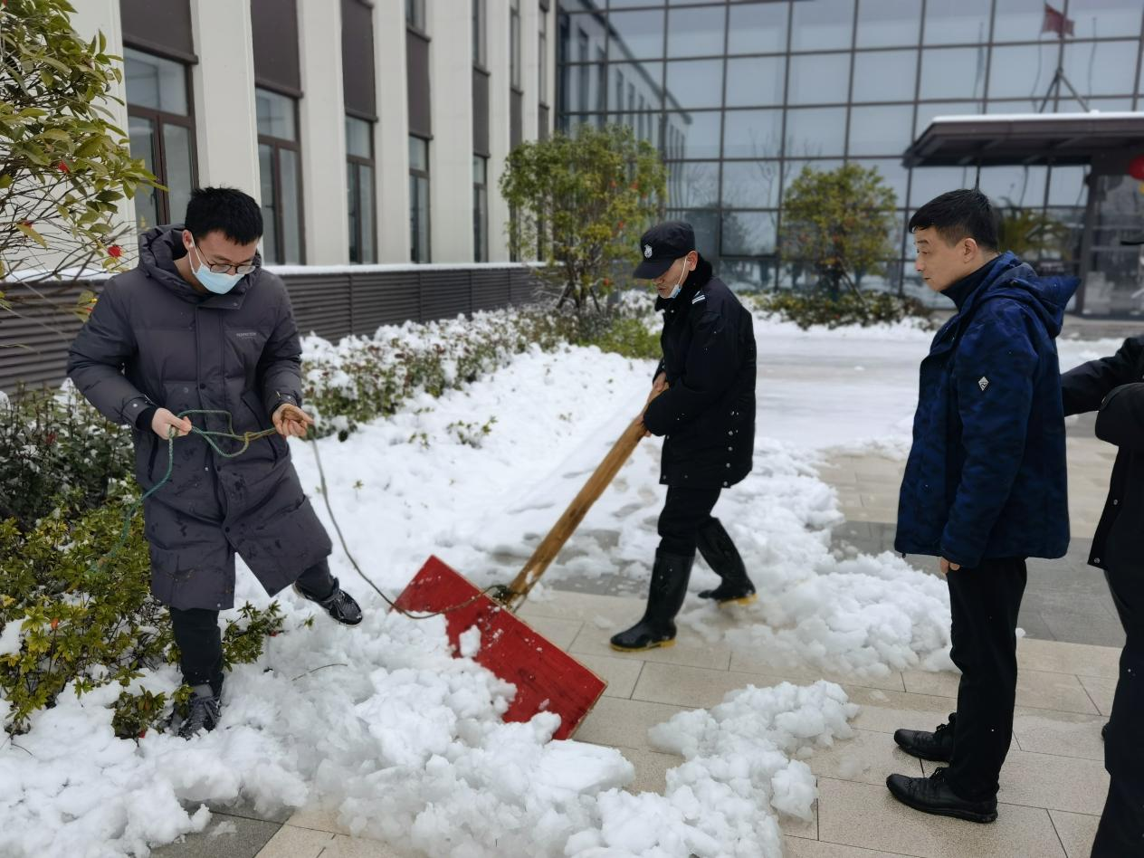 图片3.png 图片3.png